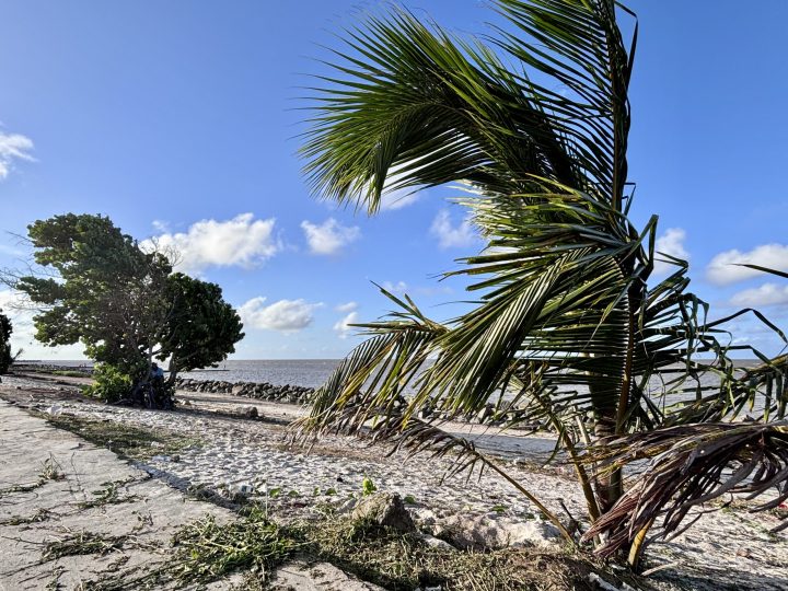 Georgetown seawall in Guyana