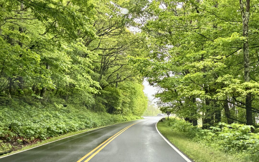 Green and Parks in the Washington Area