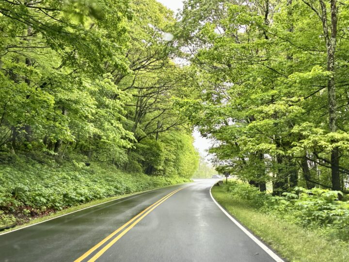 Great Falls Waterfall Green Parks Washington DC City Trip Travel USA