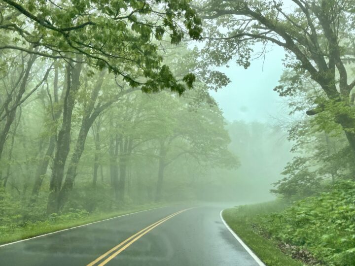 Shenandoah National Park misty driving Green Parks Washington DC City Trip Travel USA