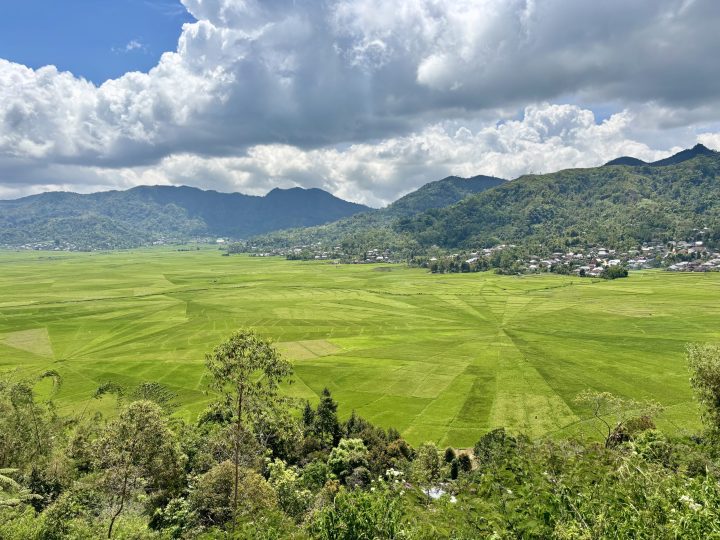 Cara spider web rice fields near Cancar in Flores
