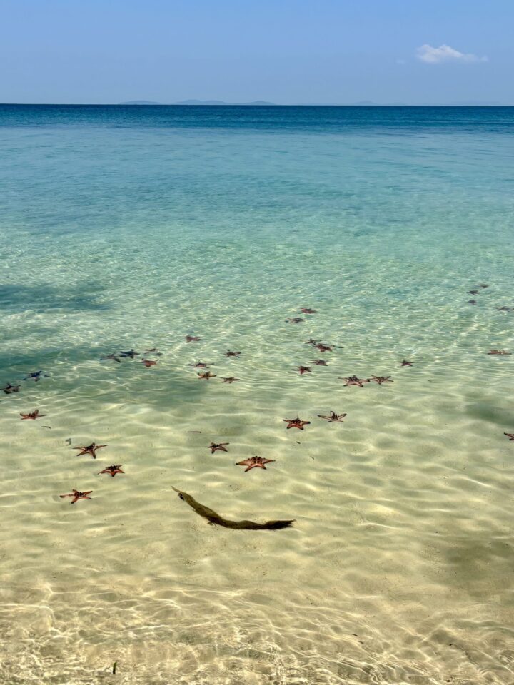 Star Fishes Travel Blog Phu Quoc Vietnam Asia