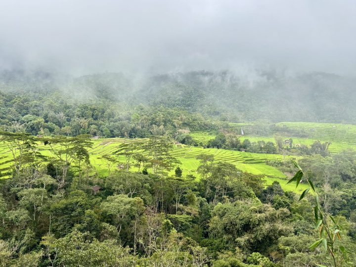 Green mountain landscape along the road from Labuan Bajo to Bajawa
