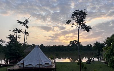 Glamping Seliba Suriname: What to expect from a Night in the Rainforest