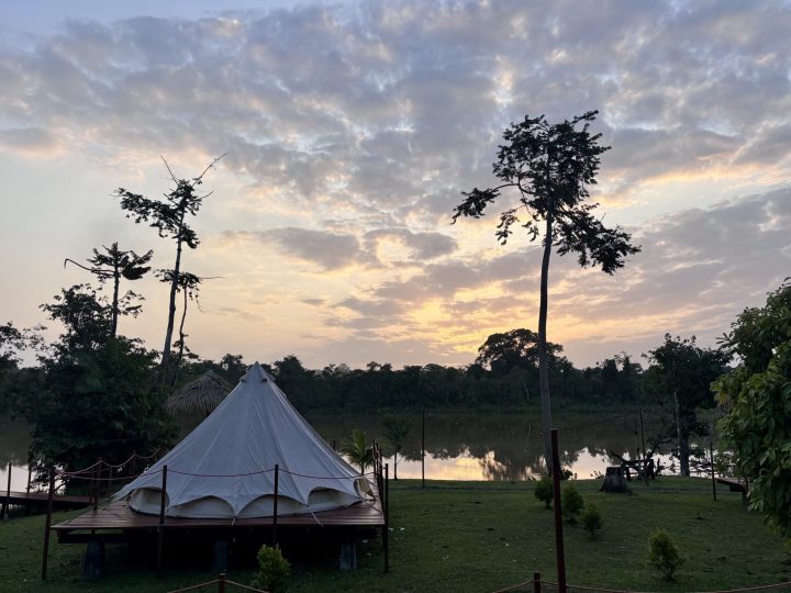 Sunrise at Seliba with howler monkeys in the rainforest
