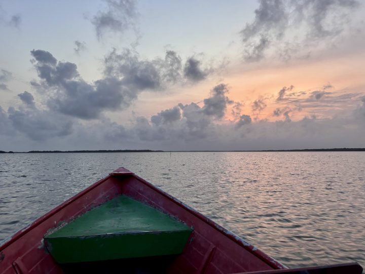 Sunset boat tour through Bigi Pan wetlands in Suriname