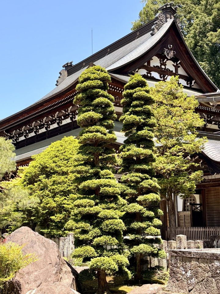 Japanese temple surrounded by trees in Takayama