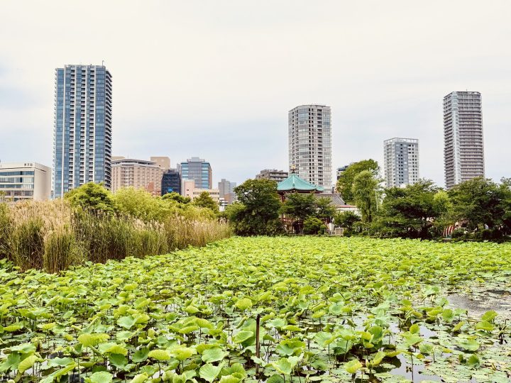 Temple by Shinobazu Pond in Ueno Park Tokyo