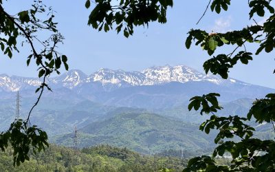 Things to do in Takayama: 8 experiences in the Japanese Alps