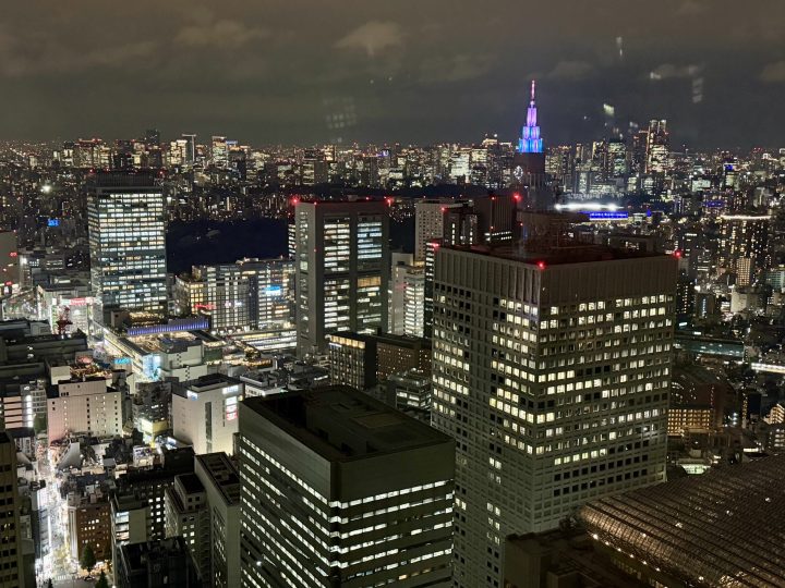 View from the Tokyo Metropolitan Government Building observation deck