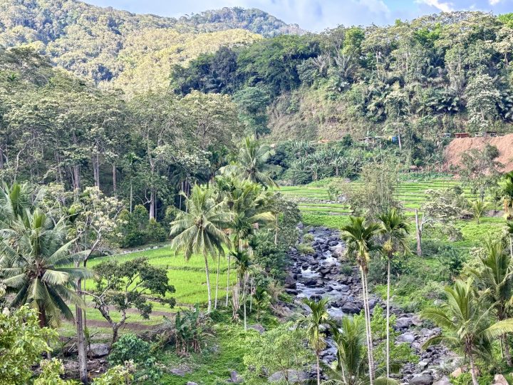 Green landscape on the road from Riung to Moni in Flores