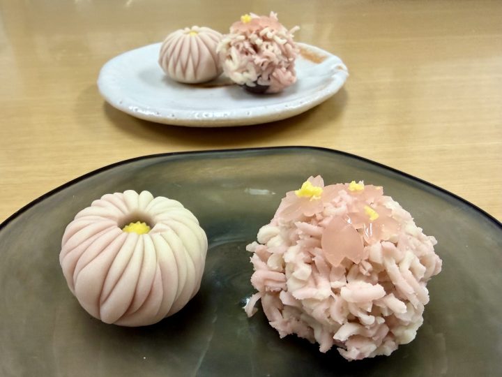 Wagashi workshop in Kyoto Japan