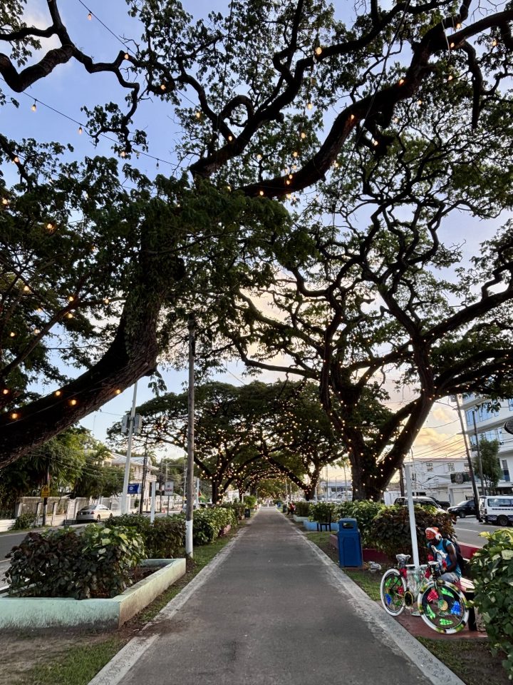 Walking path in Georgetown Guyana