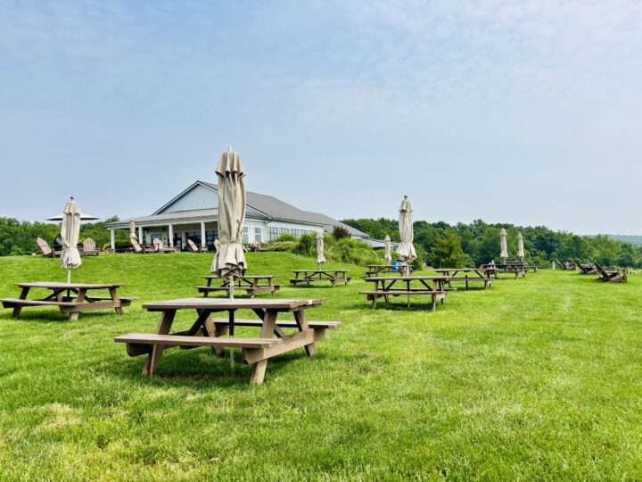 Windridge Wine Green Parks Travel Blog City Trip Washington DC USA