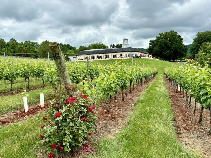 Winery Barboursville Green Parks Washington DC City Trip Travel USA