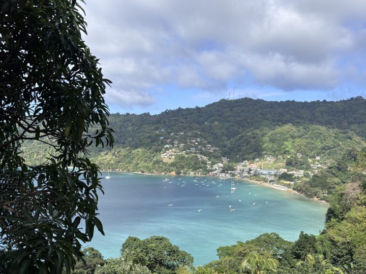 View over Charlotteville and Man-o-War Bay in Tobago