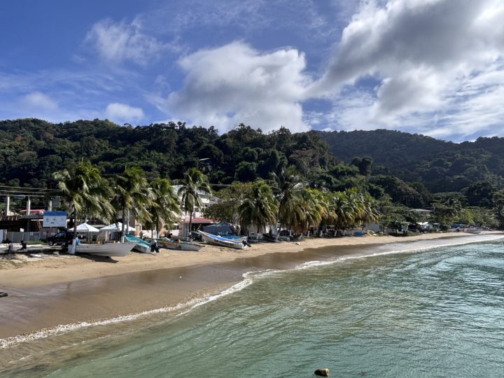 Man-o-War Bay from the pier in Charlotteville Tobago