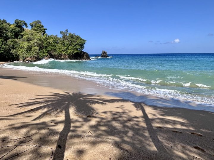 Palm tree shadows on the sand at Englishman's Bay in Tobago