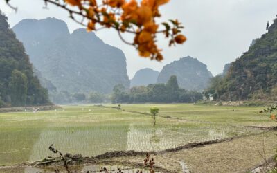 Exploring the Lovely Tam Coc, Ninh Binh