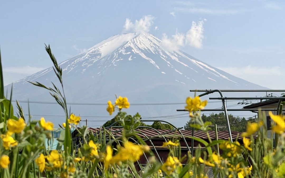 Things to Do Around Mt Fuji: 2 Days in Fujikawaguchiko