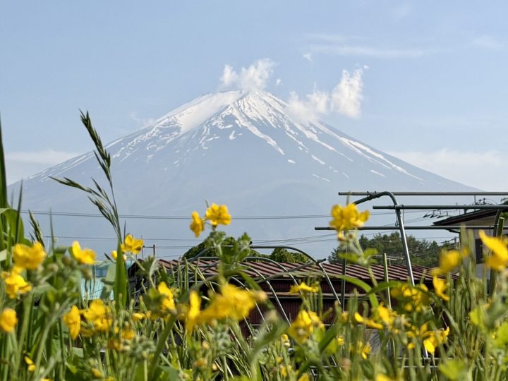 Mt Fuji View Fujikawaguchiko Clear view of Mt Fuji in Fujikawaguchiko