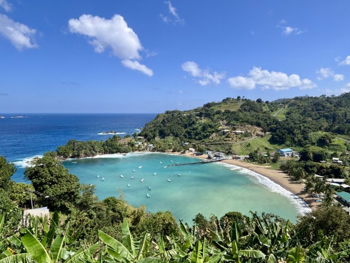 View over Parlatuvier Bay and fishing village in Tobago