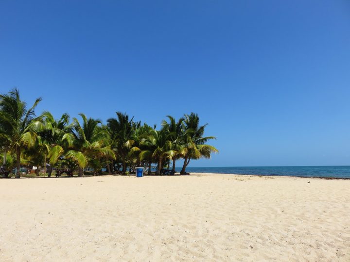 Sandy beach with palm trees in Placencia Belize