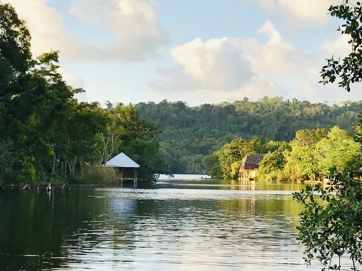 Jungle and water along Rio Dulce Guatemala
