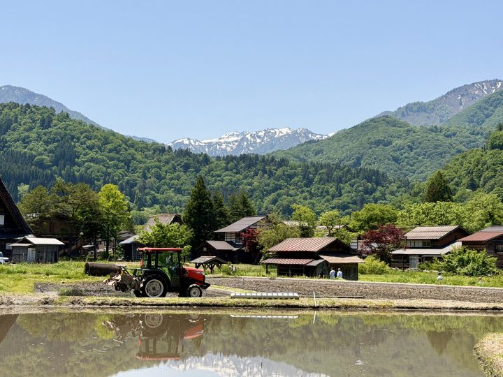 Farmers working in the rice fields of Shirakawago