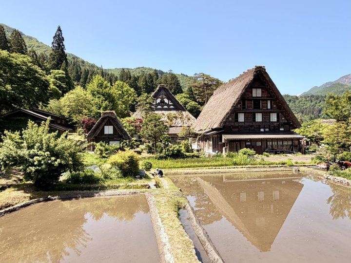 Traditional Shirakawago houses reflected in the water