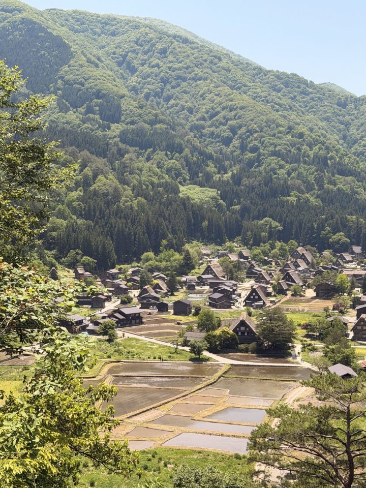Shirakawago houses seen from the observatory deck