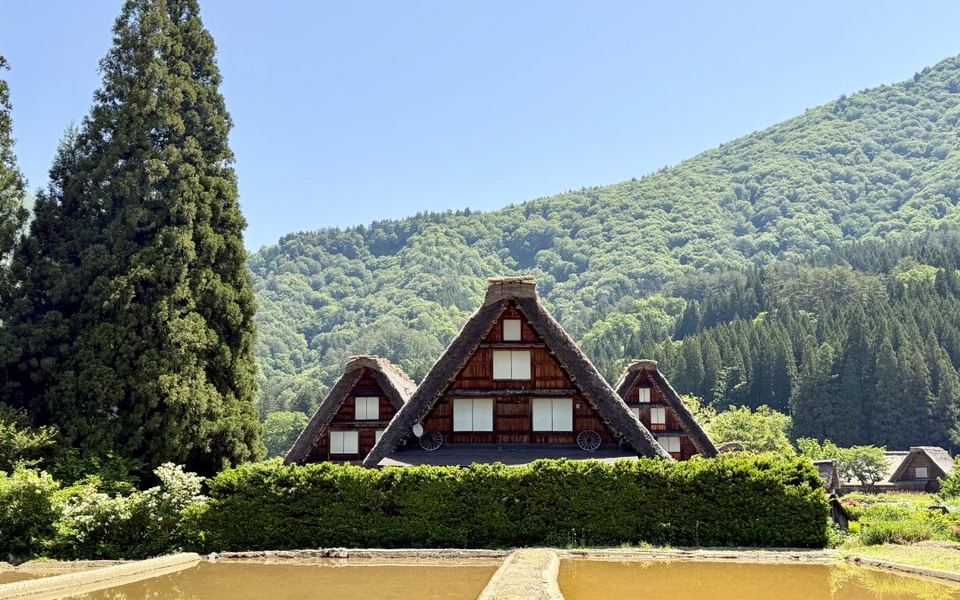 Shirakawago day trip from Takayama: bus, things to do and my honest tips