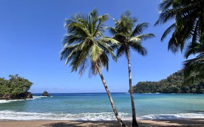 Tobago Beaches: My Favorite Beaches Around the Island
