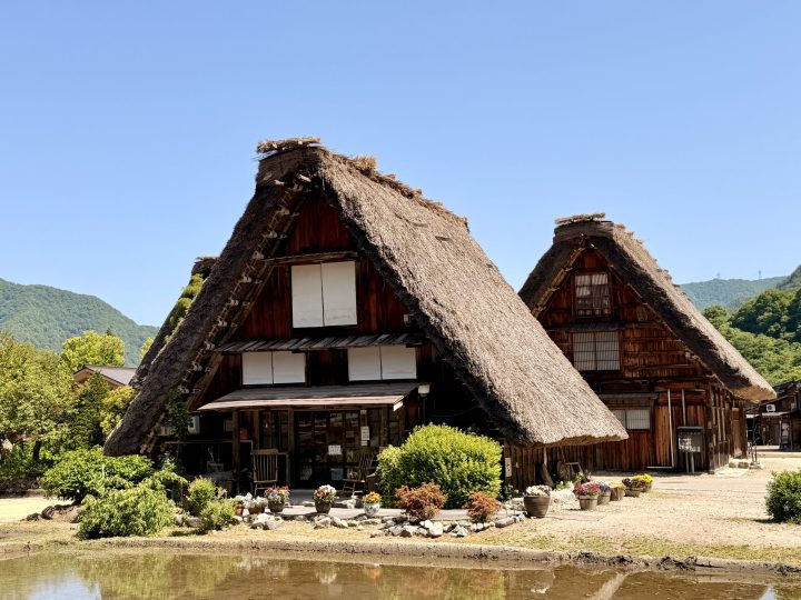 Traditional gassho-zukuri houses in Shirakawago